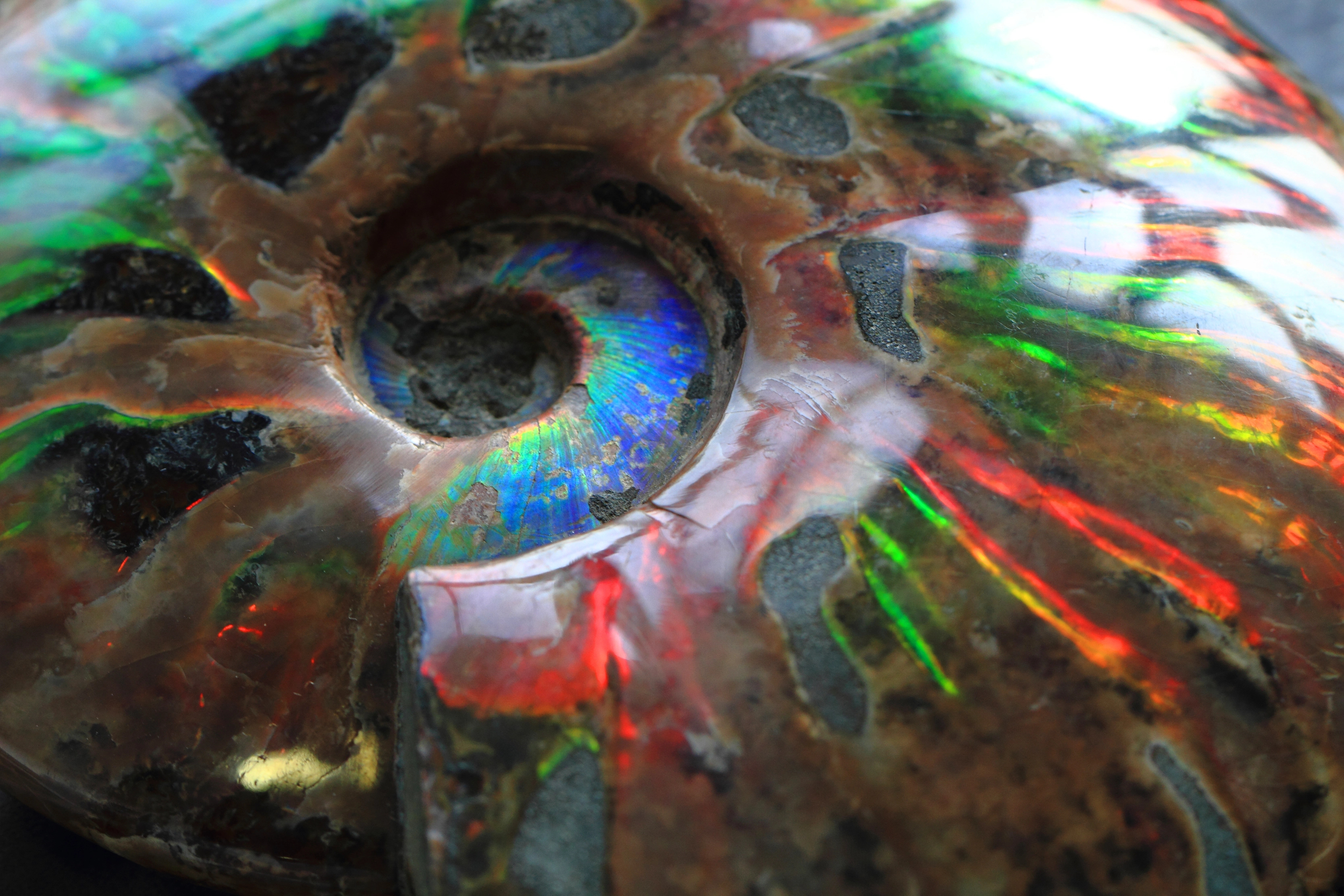 Ammonite crystal