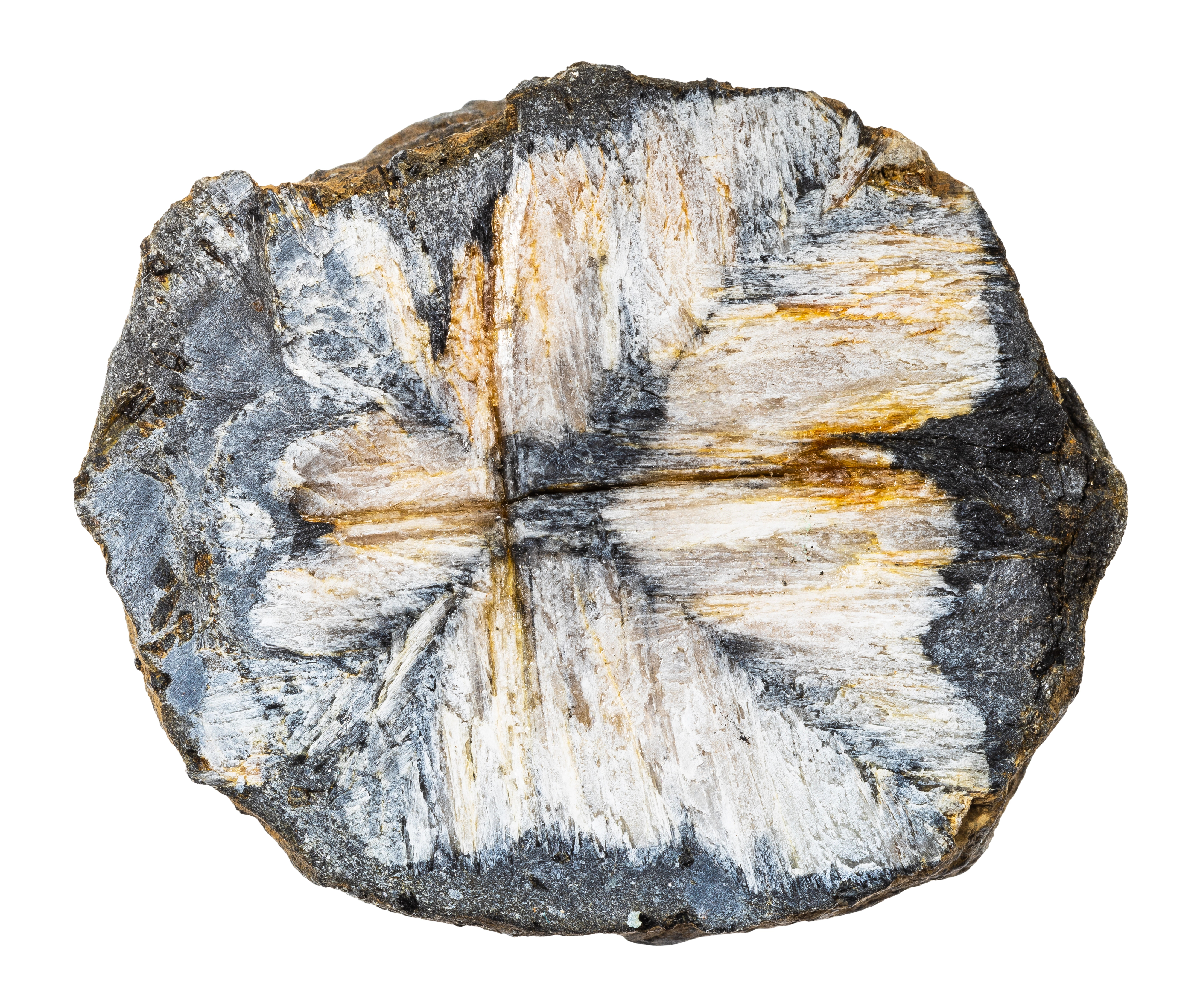 Chiastolite crystal
