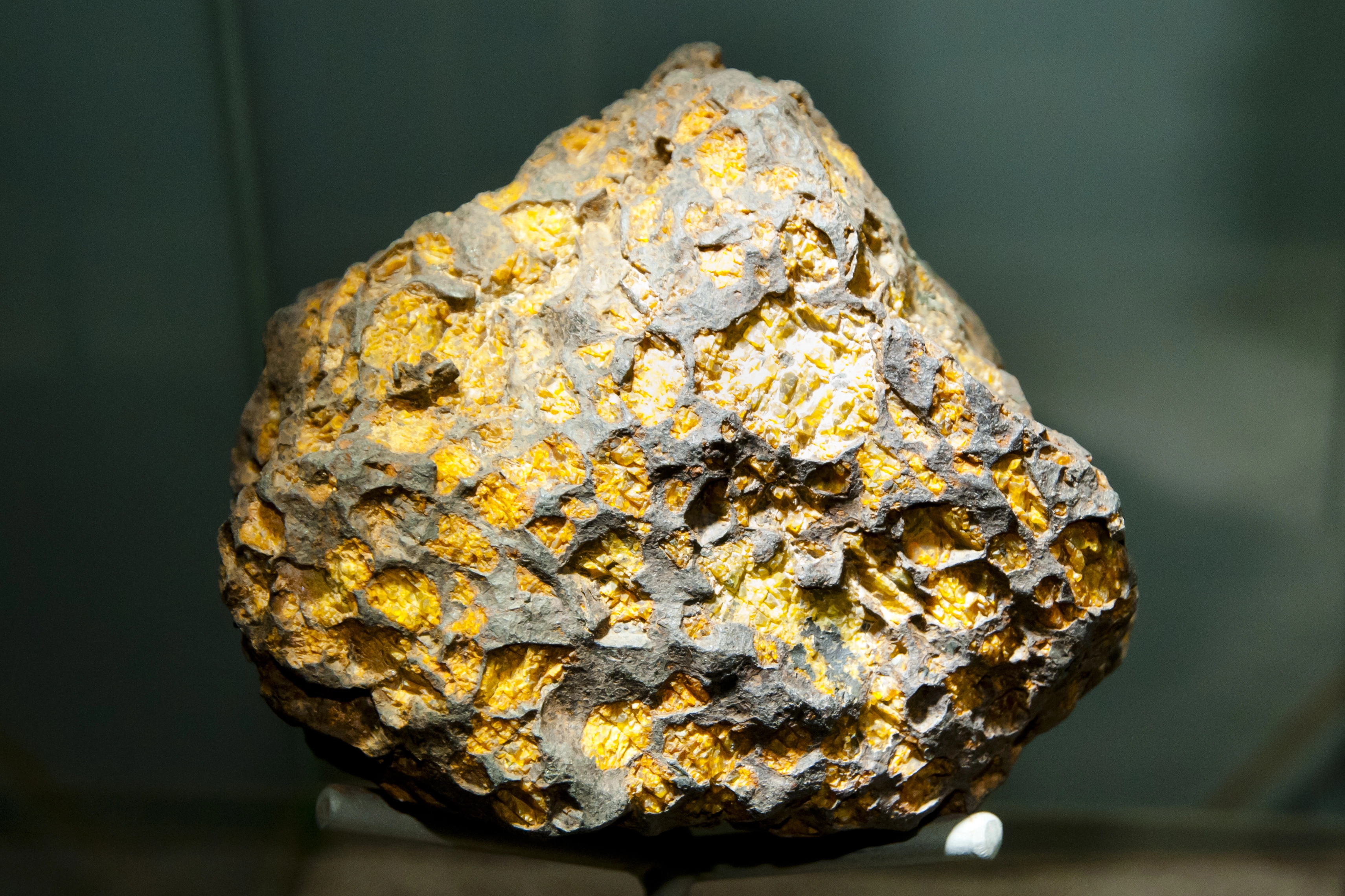 Pallasite crystal