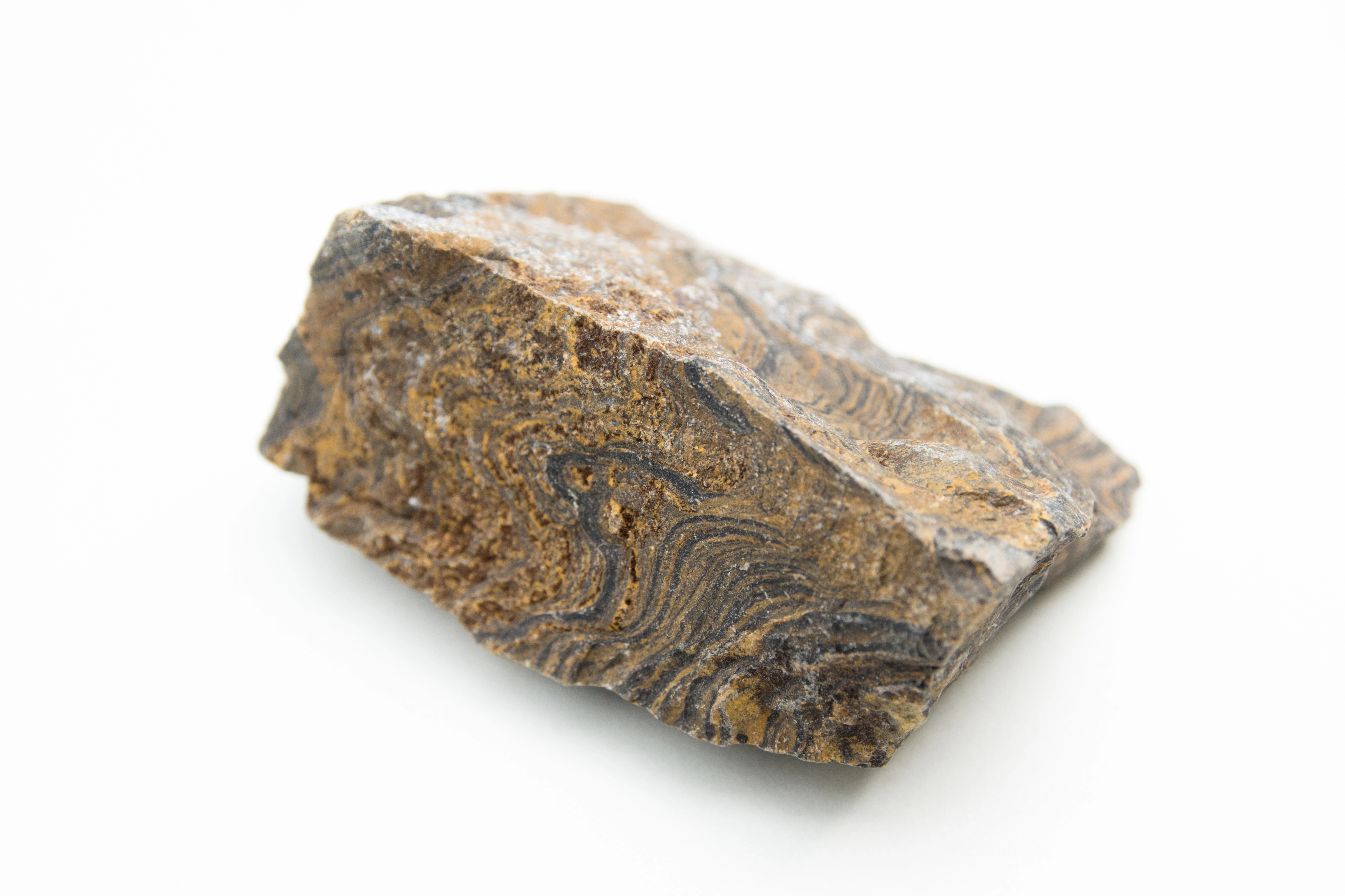 Stromatolite crystal