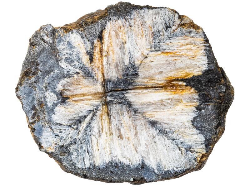 Chiastolite crystal