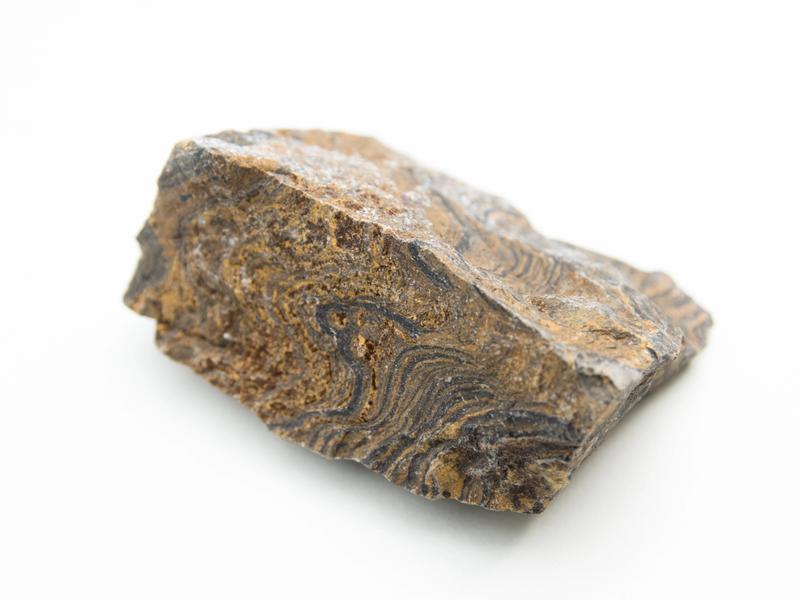 Stromatolite crystal